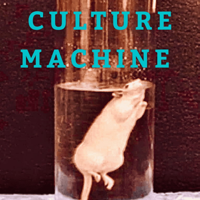 Culture Machine